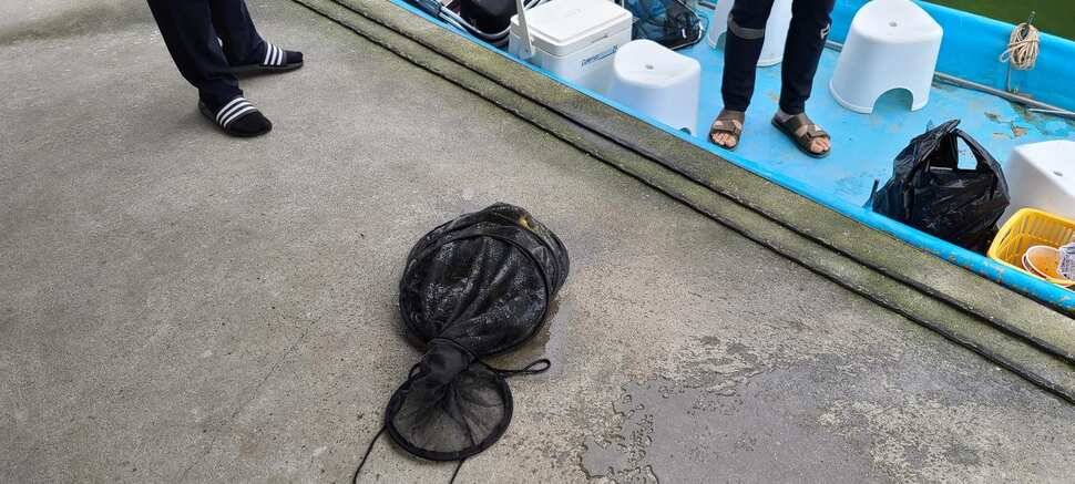 공주 고성낚시터 입니다 (유료터정보 - 유료터점주조황)