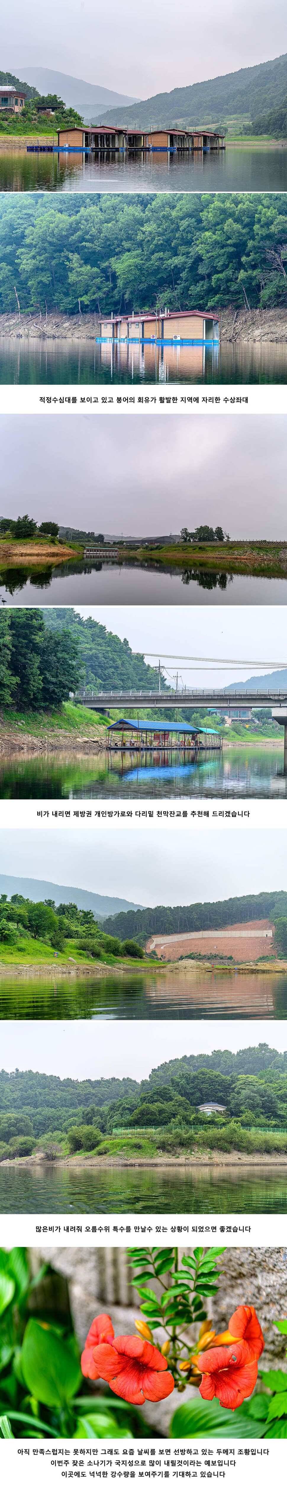 안성 두메낚시터 7월 15일 조황정보 (유료터정보 - 유료터점주조황)