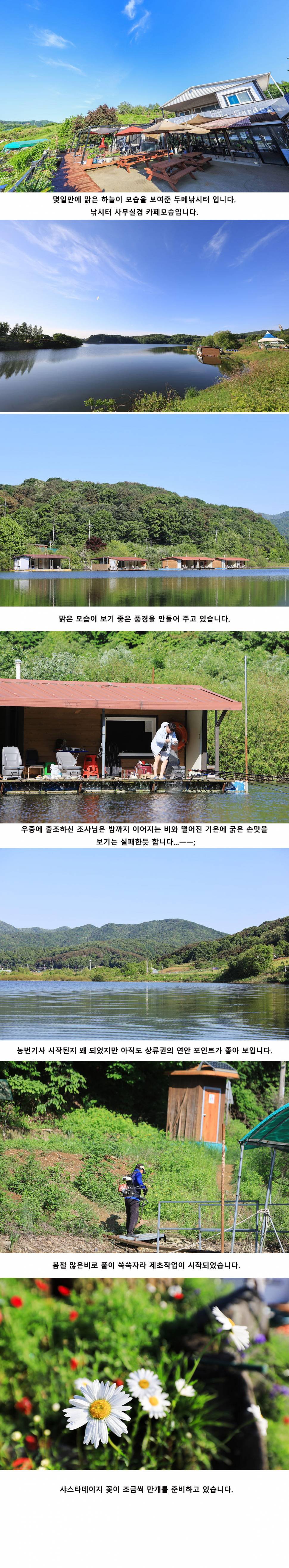 안성 두메낚시터 5월8일 조황안내 (유료터정보 - 유료터점주조황)