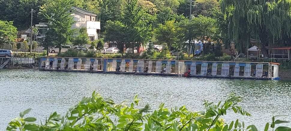 양평 힐링 수곡지 수곡낚시터 일요일 조황도 괜찬았습니다 (유료터정보 - 유료터점주조황)