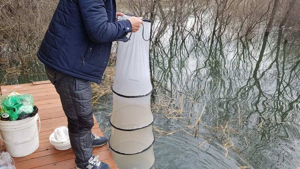송전지 오산집 주말 조황 입니다 (유료터정보 - 유료터점주조황)