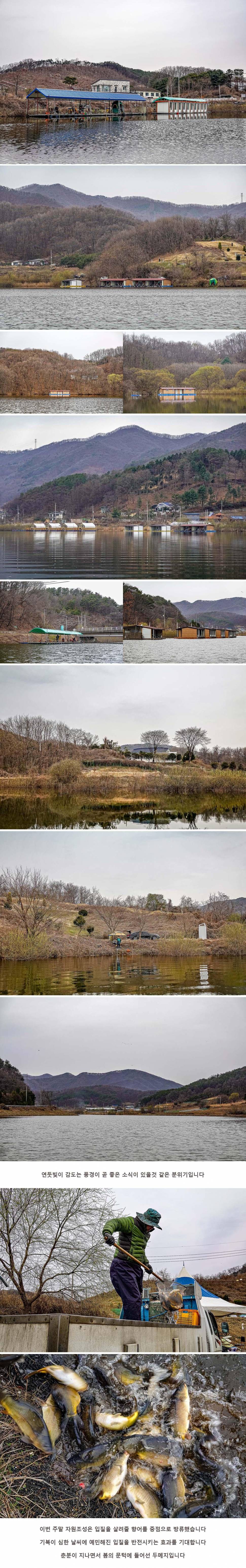 안성 두메낚시터 3월 20일 조황정보 (유료터정보 - 유료터점주조황)