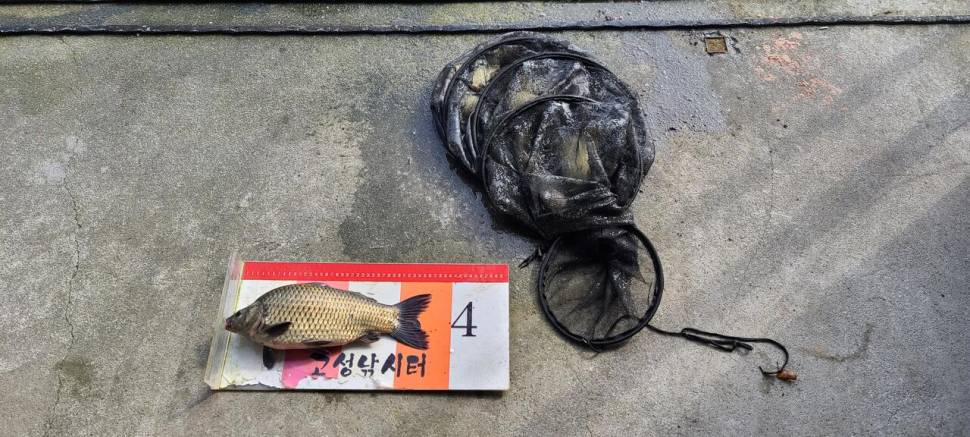 공주 고성낚시터 입니다 (유료터정보 - 유료터점주조황)