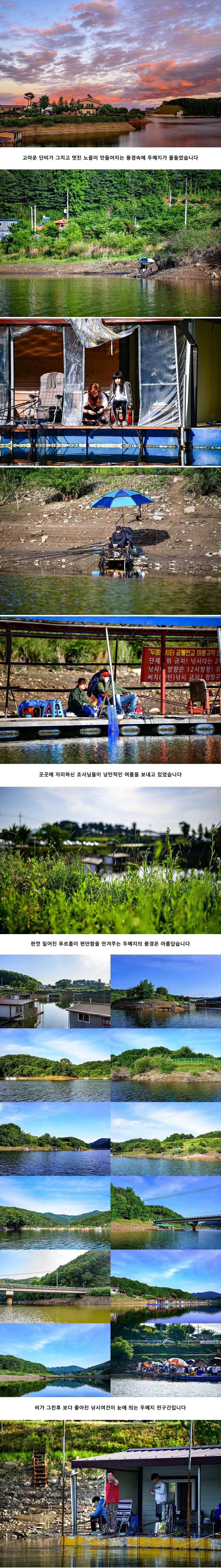안성 두메낚시터 6월 8일 조황정보 (유료터정보 - 유료터점주조황)