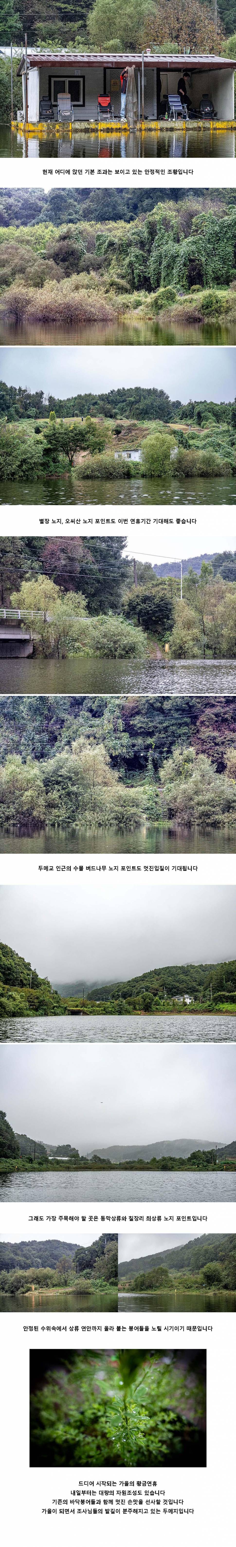 안성 두메낚시터 9월 27일 조황정보 (유료터정보 - 유료터점주조황)