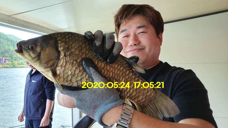 신원낚시터 5월25일 토종대물 43짜리와 덩어리 사진입니다 (유료터정보 - 유료터점주조황)