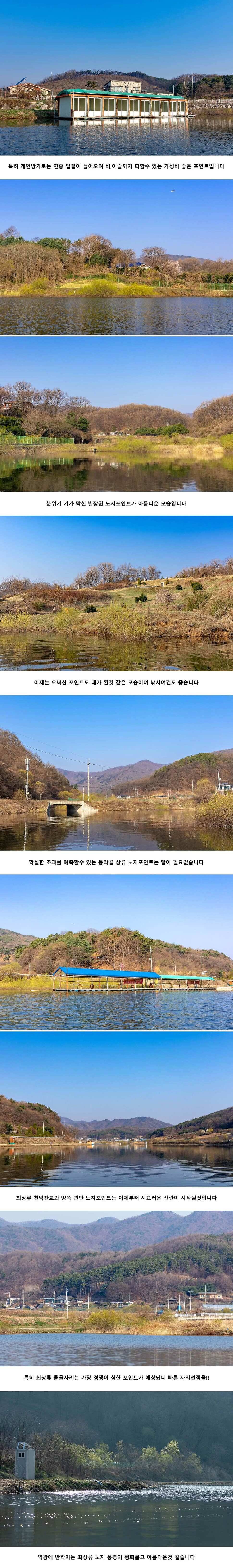 안성 두메낚시터 4월 12일 조황정보 (유료터정보 - 유료터점주조황)