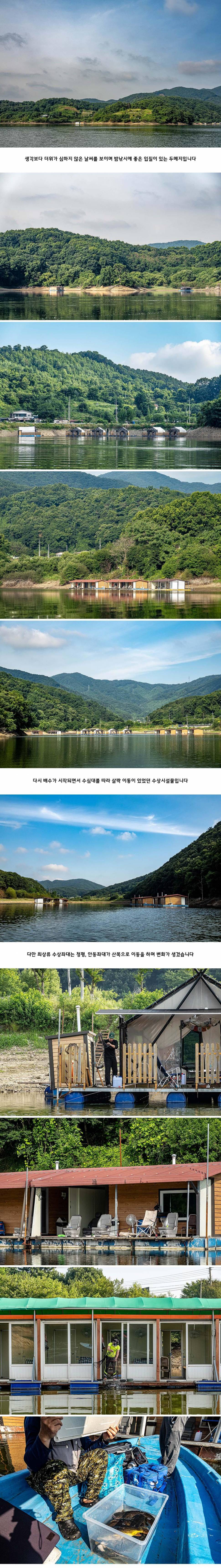안성 두메낚시터 6월 27일 조황정보 (유료터정보 - 유료터점주조황)
