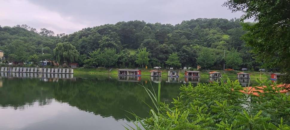 힐링 붕어 양평낚시터 수곡낚시터 월요일 조황 금일 방류 완료 (유료터정보 - 유료터점주조황)
