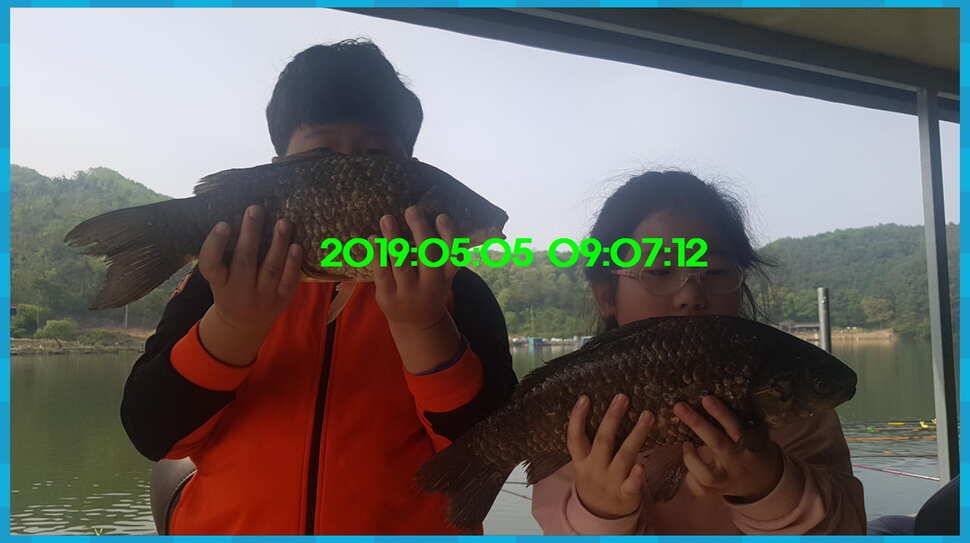 신원낚시터 토종대물 4짜가 풍년입니다풍년 (유료터정보 - 유료터점주조황)
