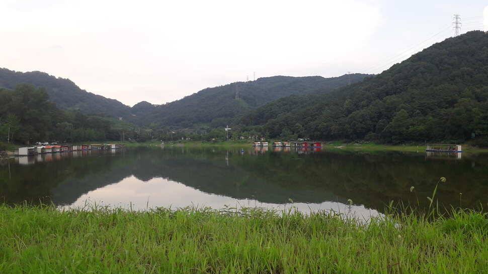 여름 피서낚시 양평 수곡낚시터 붕어낚시 조황 꾸준합니다 내일도 붕어방류 합니다 (유료터정보 - 유료터점주조황)