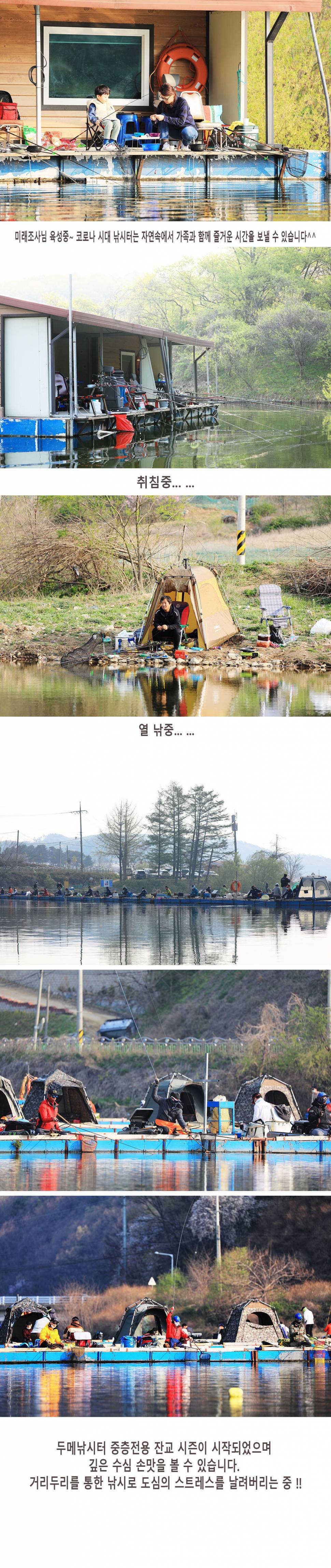 안성 두메낚시터 4월11일 조황안내 (유료터정보 - 유료터점주조황)