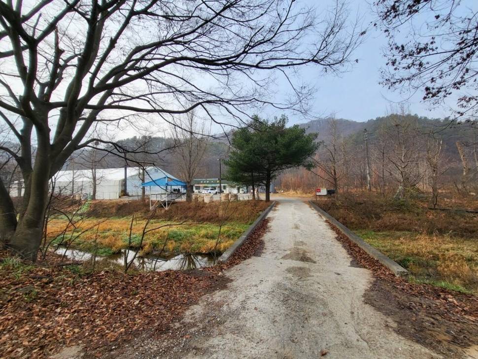 조치원낚시터 1월3일 (유료터정보 - 유료터점주조황)