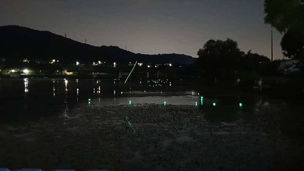 아산 명품 월랑낚시터 8월 첫번째 조황이야기입니다 (유료터정보 - 유료터점주조황)