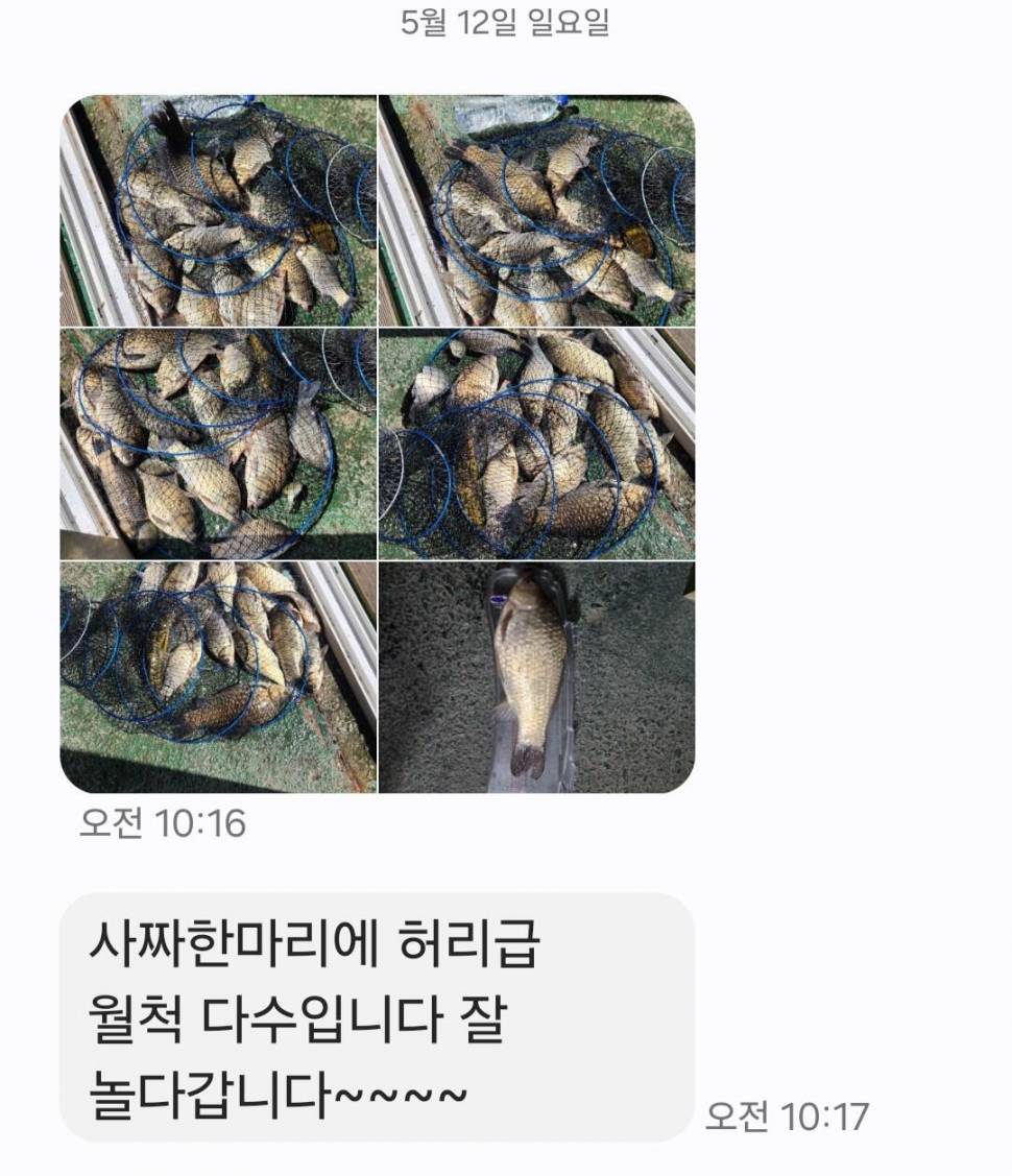 2024년 05월 셋째주 조황정보 용담낚시터사암지 4짜 5마리 (유료터정보 - 유료터점주조황)