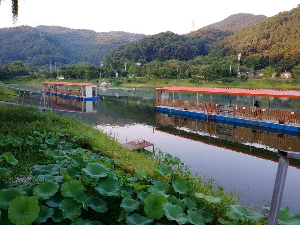양평 힐링 수곡낚시터 일요일도 주말에이어 고른조황 꾸준하며 조과편차는 있었습니다 (유료터정보 - 유료터점주조황)