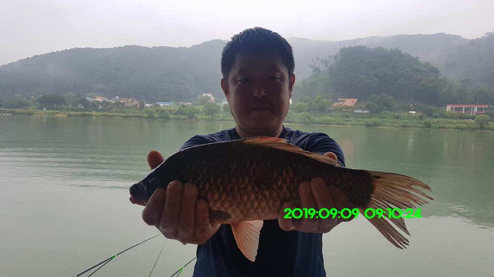 신원낚시터 토종대물 방류 소식과 조황입니다 (유료터정보 - 유료터점주조황)
