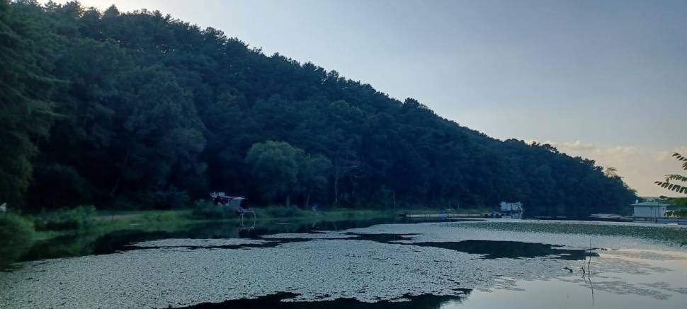 어우실지 입질이좋아요 (유료터정보 - 유료터점주조황)
