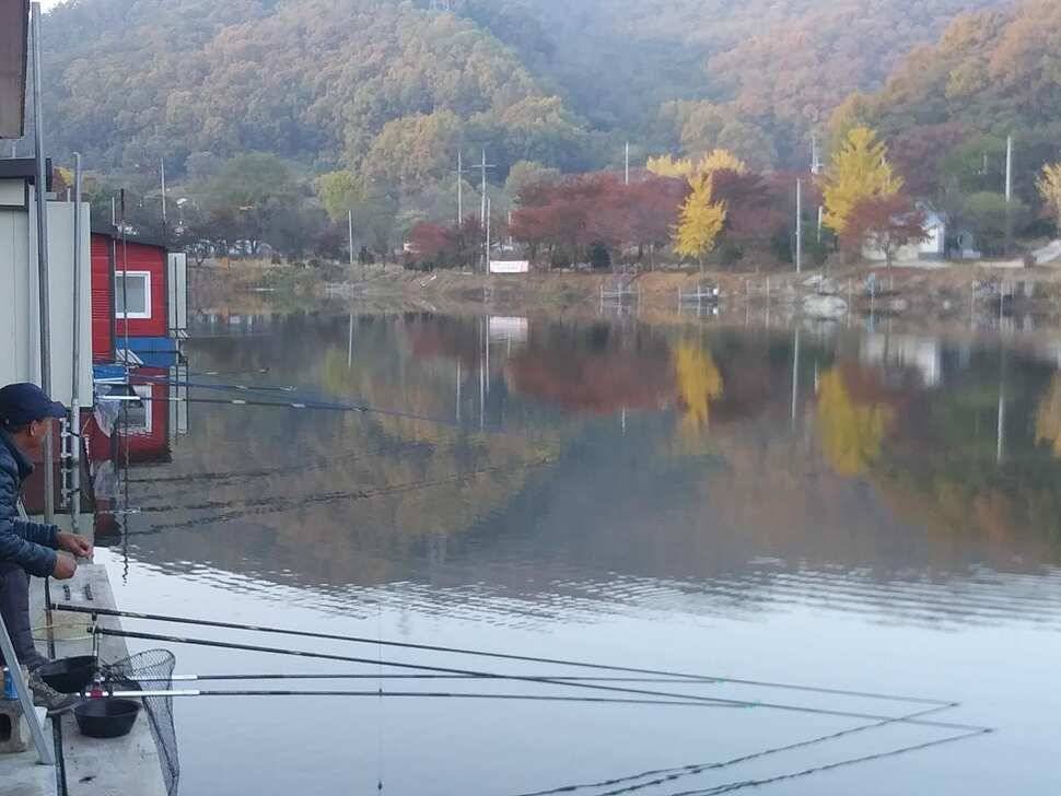 수곡낚시터 어제 대박조황과 함께 고른 조황이 이어졌고 오늘 토종붕어 포함 방류합니다 (유료터정보 - 유료터점주조황)