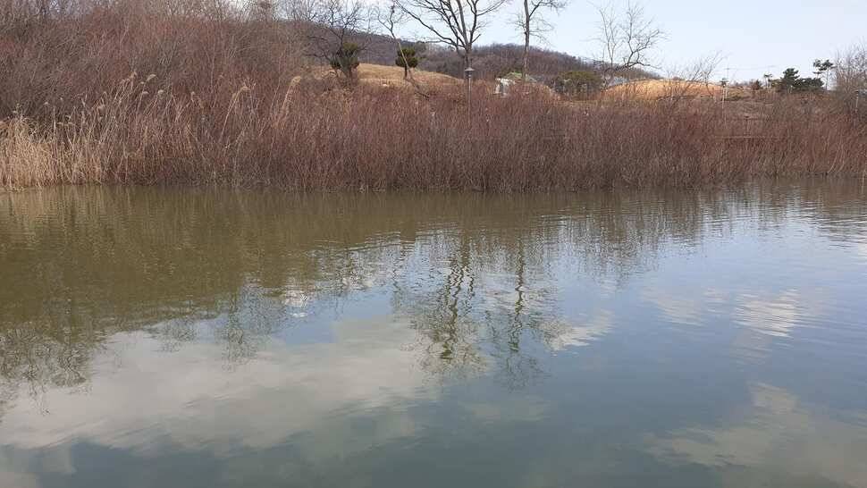 아산 명품 월랑낚시터 3월 첫번째 조황이야기입니다 (유료터정보 - 유료터점주조황)