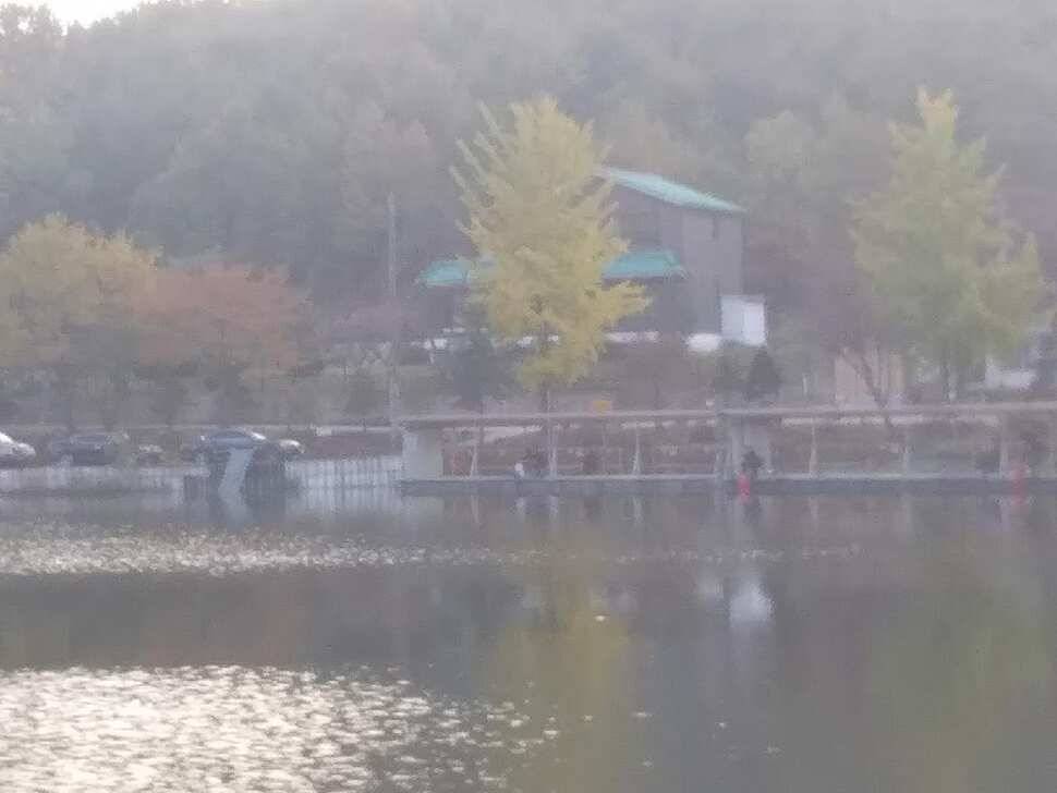수곡낚시터 어제 대박조황과 함께 고른 조황이 이어졌고 오늘 토종붕어 포함 방류합니다 (유료터정보 - 유료터점주조황)