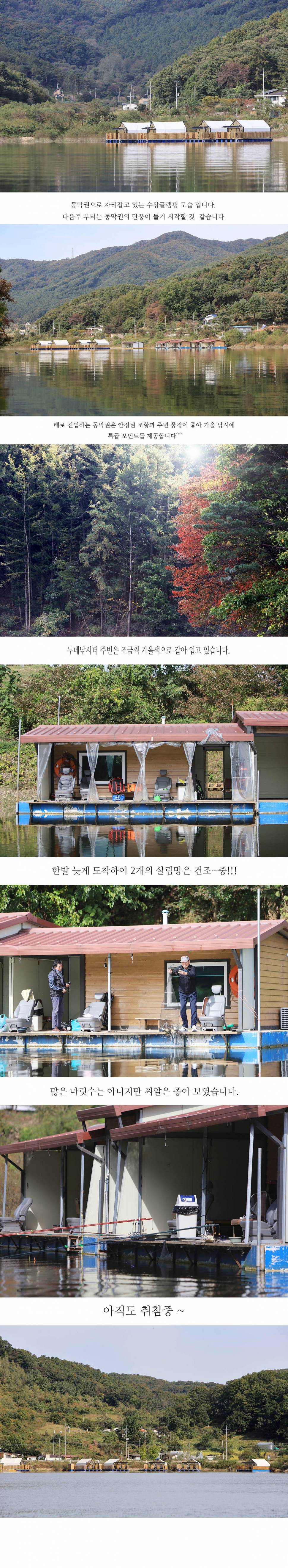안성 두메낚시터 10월13일 조황안내 (유료터정보 - 유료터점주조황)