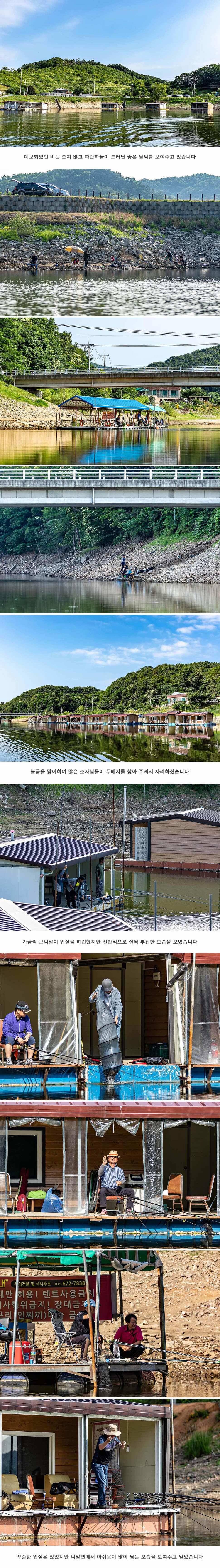 안성 두메낚시터 6월 22일 조황정보 (유료터정보 - 유료터점주조황)