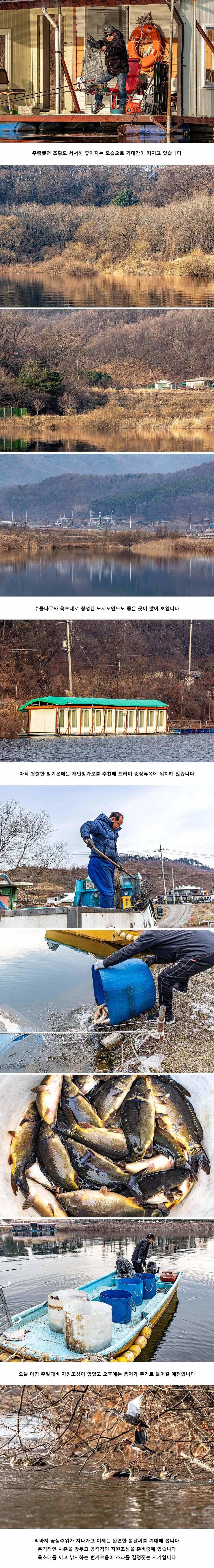안성 두메낚시터 3월 7일 조황정보 (유료터정보 - 유료터점주조황)