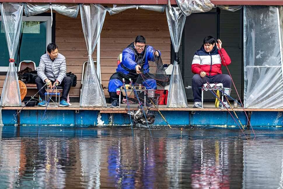 안성 두메낚시터 11월 10일 조황정보 (유료터정보 - 유료터점주조황)