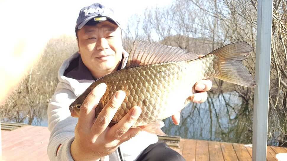 주말 오산집 조황 입니다 (유료터정보 - 유료터점주조황)