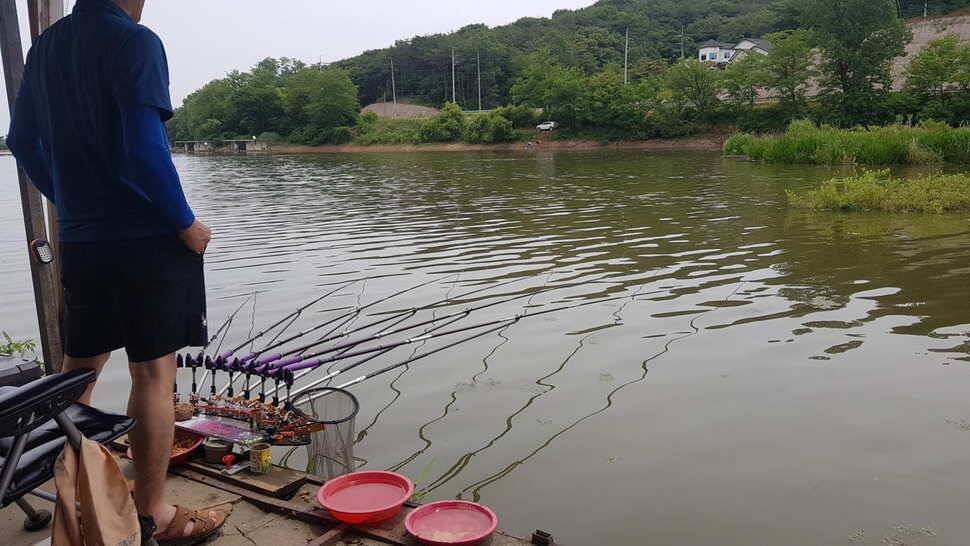 당진 가교리낚시터 6월 둘째주 조황 (유료터정보 - 유료터점주조황)