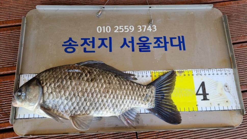 송전지서울좌대5월8일조황 (유료터정보 - 유료터점주조황)