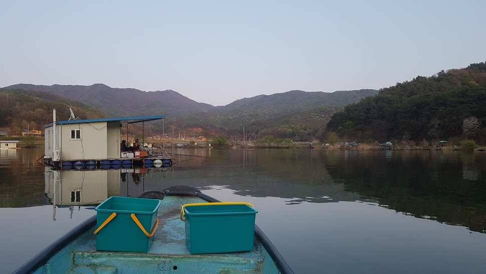 꽝없는 토종터 어우실지 모든조사님 월척을 하셨읍니다 (유료터정보 - 유료터점주조황)