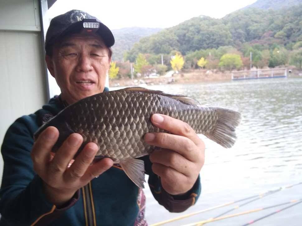 수곡낚시터 어제부터 낮시간에도 붕어들이 나와주네요 오늘 붕어방류 완료하였습니다 (유료터정보 - 유료터점주조황)