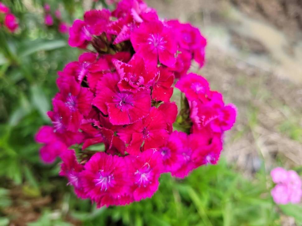 아산 안골지 조황정보 입니다 (유료터정보 - 유료터점주조황)