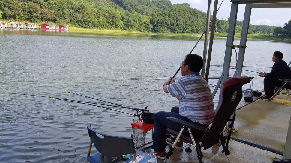 힐링 양평 수곡낚시터 목금요일 편차가 많아 고른 조황이 나오지 못했네요 오늘 붕어방류 완료 (유료터정보 - 유료터점주조황)