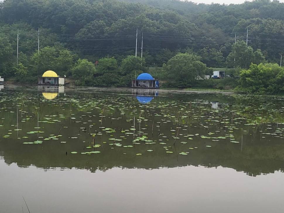 당진 가교리 낚시터 5월 27일 조황입니다 (유료터정보 - 유료터점주조황)