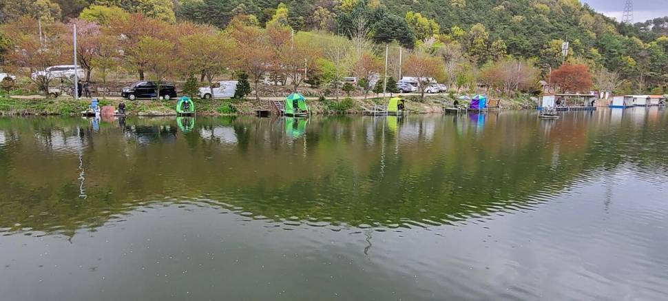 셋째주 금토 주말 힐링 수곡낚시터 조황 붕어방류 (유료터정보 - 유료터점주조황)