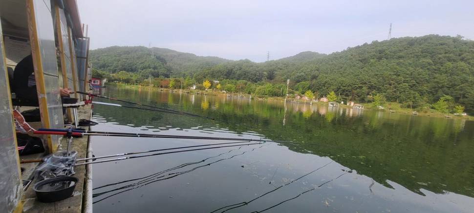 즐거운 한가위 보내세요 양평 힐링 수곡낚시터 화요일 조황 오늘 붕어 방류 (유료터정보 - 유료터점주조황)