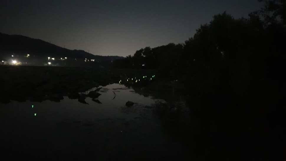 아산 명품 월랑낚시터 8월 세번재 조황이야기입니다 (유료터정보 - 유료터점주조황)