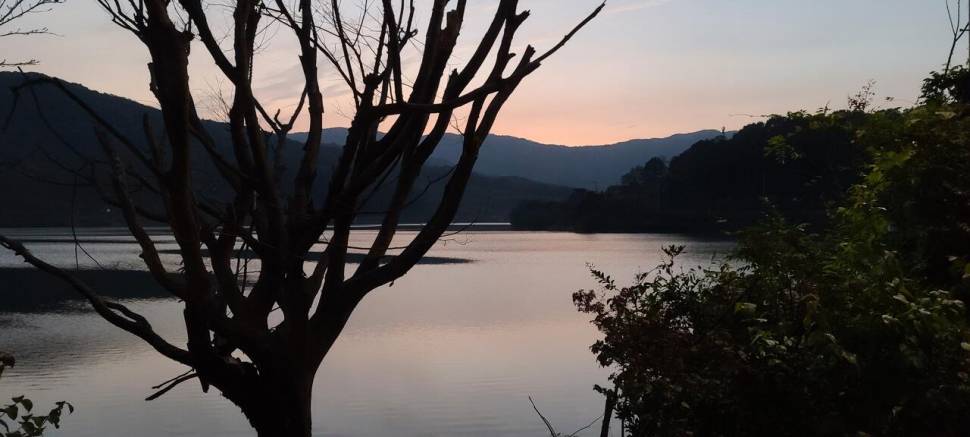 공주 고성낚시터 입니다 (유료터정보 - 유료터점주조황)