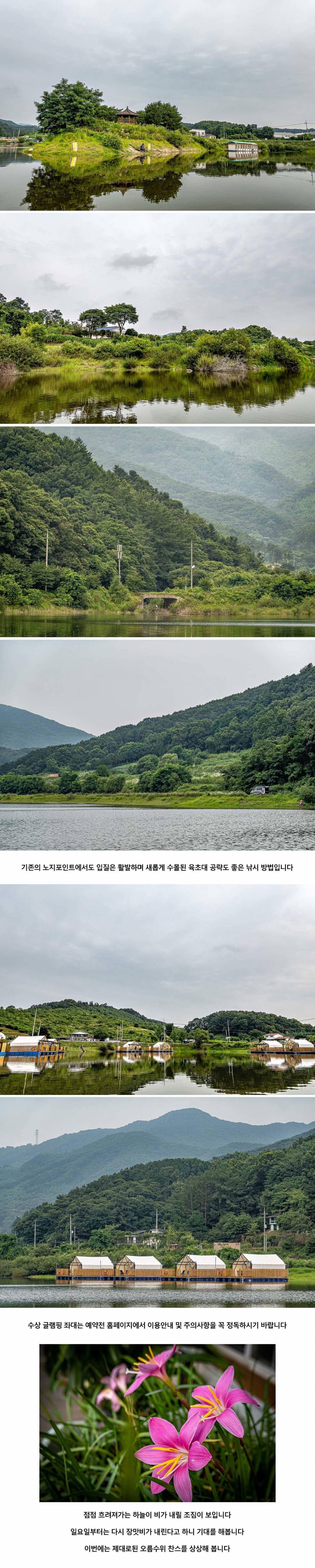 안성 두메낚시터 7월 18일 조황정보 (유료터정보 - 유료터점주조황)