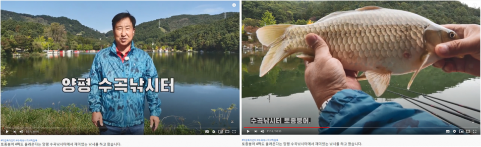 가을 힐링 수곡낚시터 목금 주후반 조황 및 붕어 방류 (유료터정보 - 유료터점주조황)