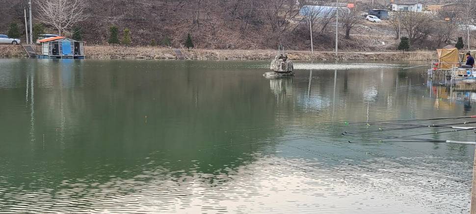 양평 힐링 수곡낚시터 둘째주 주말 조황 및 붕어 방류 (유료터정보 - 유료터점주조황)