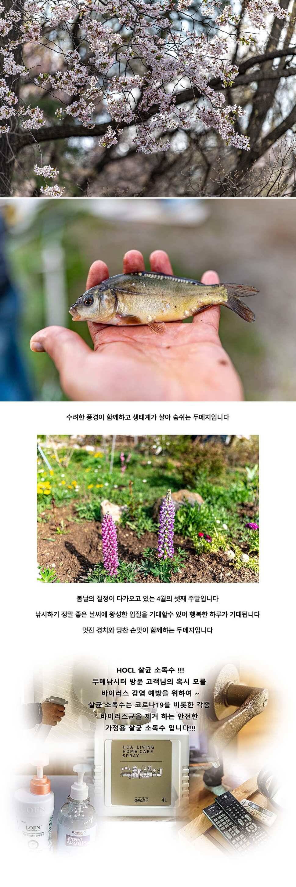 안성 두메낚시터 4월 18일 조황정보 (유료터정보 - 유료터점주조황)
