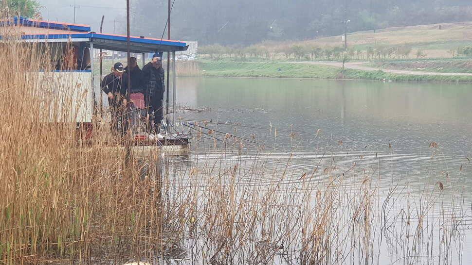 당진 가교리낚시터 4월 25일 토종붕어 조황 (유료터정보 - 유료터점주조황)