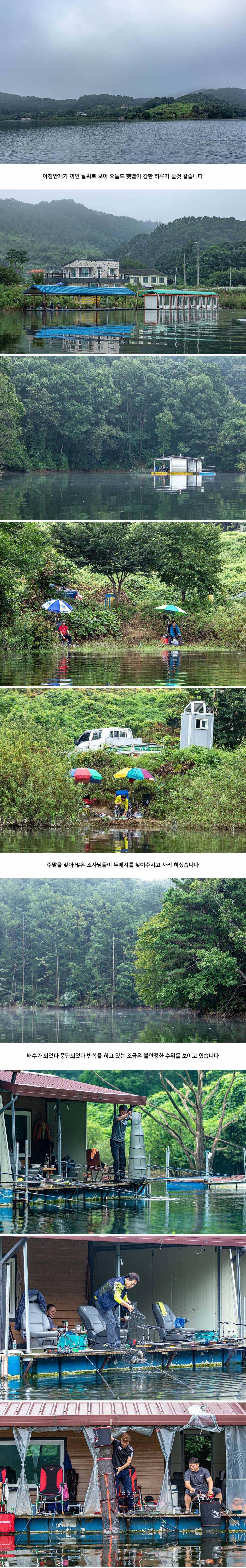 안성 두메낚시터 8월 23일 조황정보 (유료터정보 - 유료터점주조황)