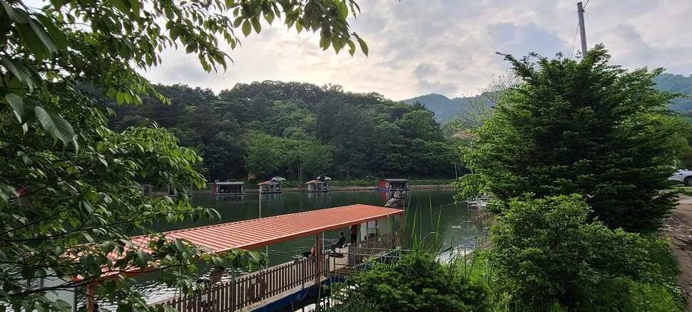 수곡지 양평 수곡낚시터 주말 조황 및 방류소식 안내드립니다 (유료터정보 - 유료터점주조황)
