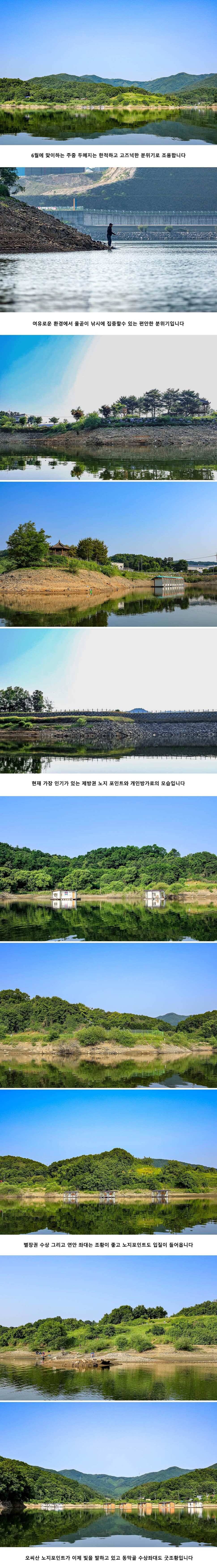 안성 두메낚시터 6월 4일 조황정보 (유료터정보 - 유료터점주조황)