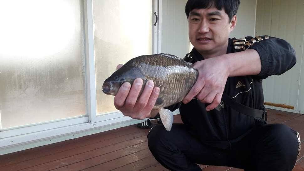 송전지 창신좌대 조황정보 (유료터정보 - 유료터점주조황)